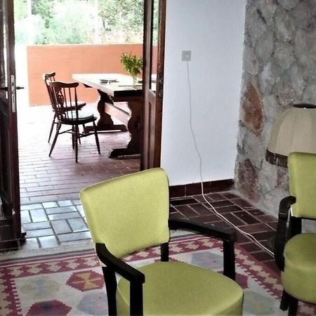 Apartment Maya สตารีกราด ภายนอก รูปภาพ